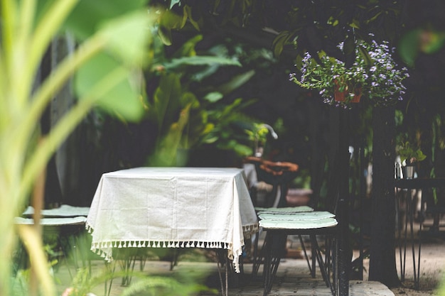 Table de café vide avec chaise en bois dans un jardin vert design de décoration de nature en bois avec fond de nature en été par des meubles vintage à la maison sensation de détente en plein air avec fleur et plante