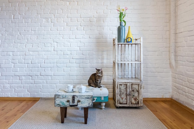 Table chaises étagères sur le fond d'un mur de briques blanches à l'intérieur d'un loft vintage avec chat