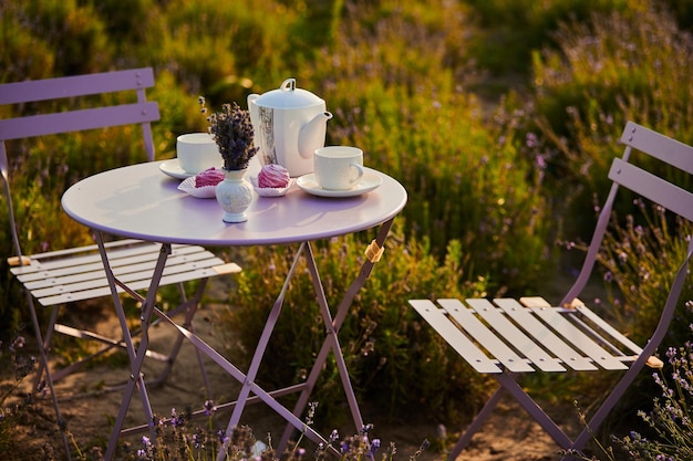 Table avec chaises pour un thé en plein air dans un champ