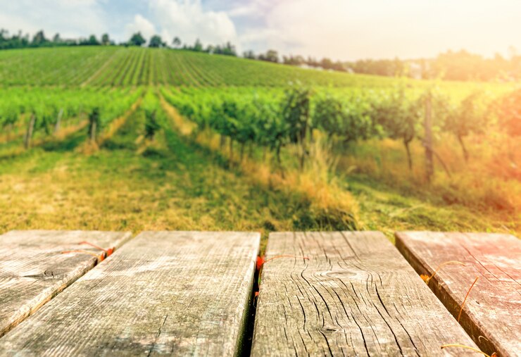 Photo table contre colline de vigne
