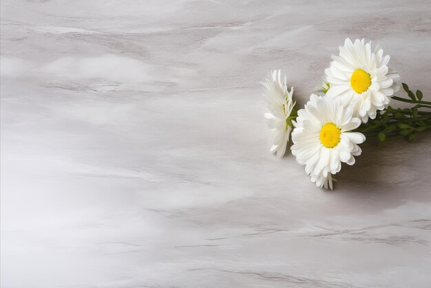 Photo table de cuisine ornée de marguerites blanches offrant un espace suffisant pour ajouter du texte ou un logo