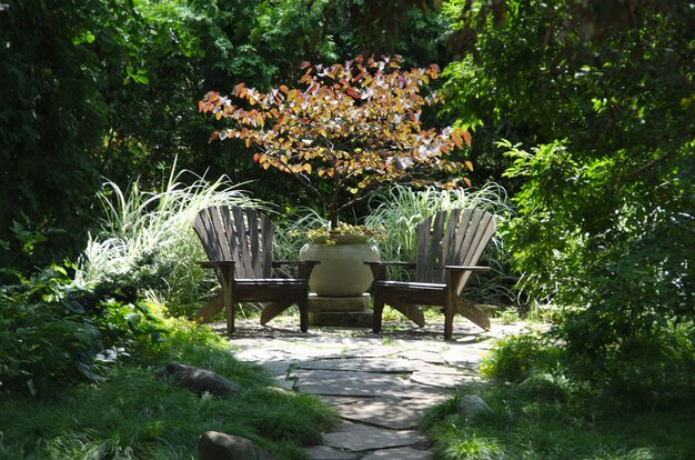 Photo table dans le jardin