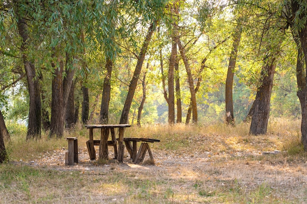 Une Table Et Deux Bancs D'une Maison En Rondins. Zone De Loisirs Dans La Forêt