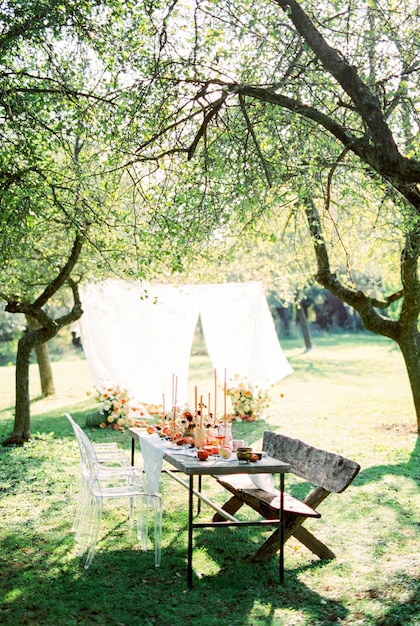 Table dressée près d'un banc dans un jardin verdoyant sur fond de rideaux blancs