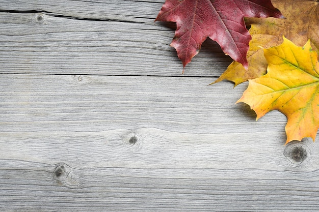 Table et éléments d'automne