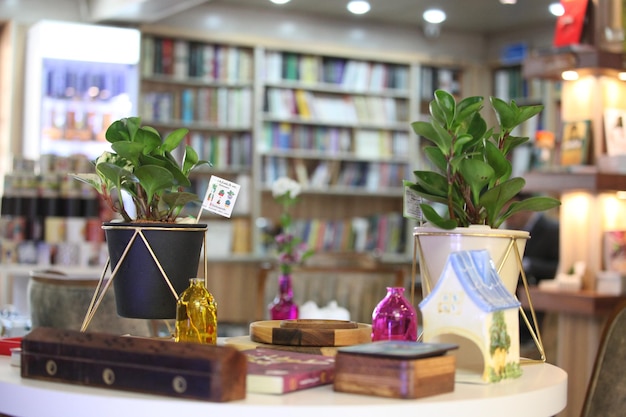 Une table avec une étagère qui dit 'une petite plante en pot'