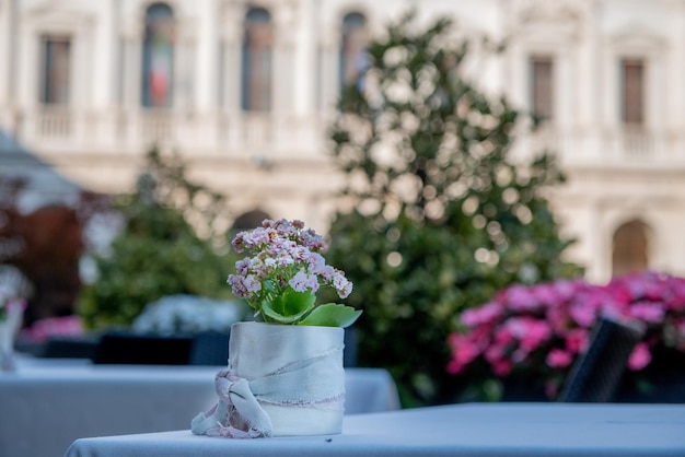 Table avec des fleurs