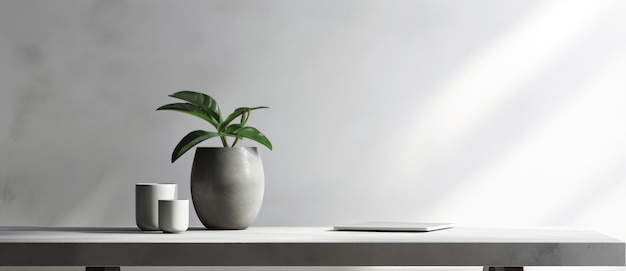 Une table avec un ordinateur portable et une plante dans un vase.