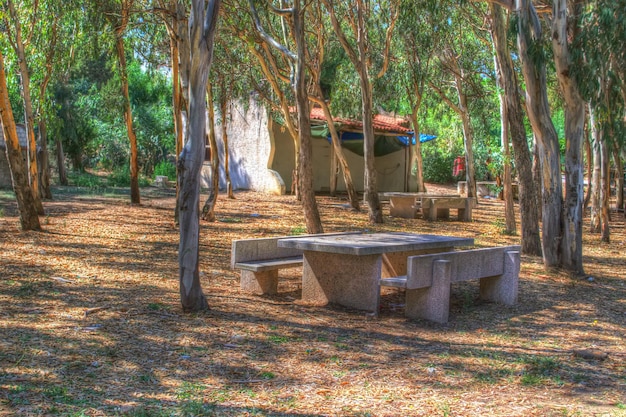 Table en pierre dans la forêt sardaigne