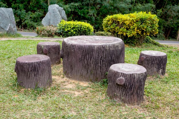 table en pierre dans le jardin