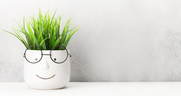 Table avec plante en pot avec verres