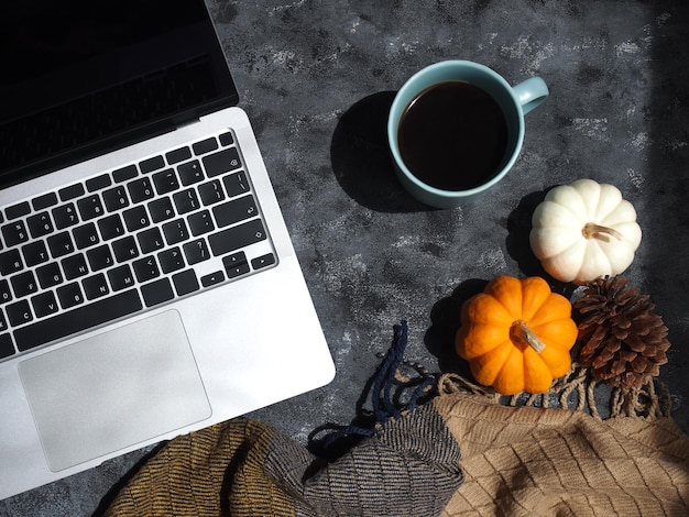 Table de travail dans le concept d'automne. Ordinateur portable, tasse de café et vue de dessus de citrouilles sur fond de couleur grise.