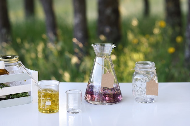 Table de travail de laboratoire de naturopathie avec des objets dans la forêt