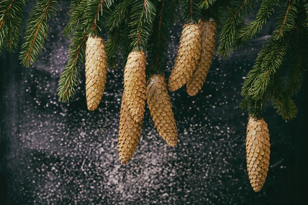 Tableau et branches de sapin avec des cônes sur fond - Noël