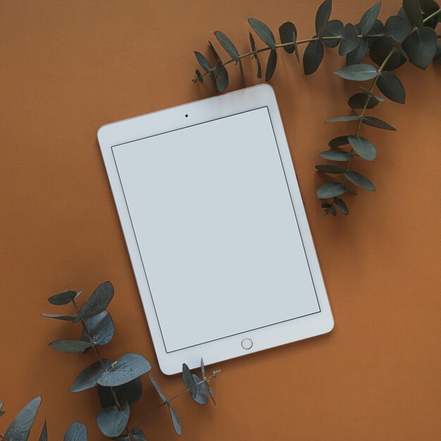 Tablette écran blanc avec espace copie vide, branche d'eucalyptus sec sur rouge foncé