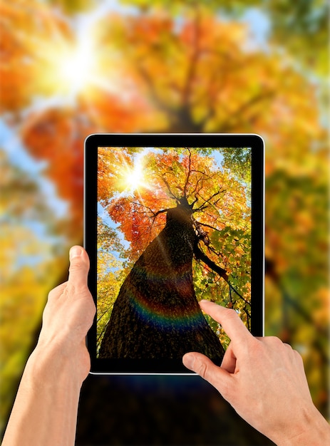 Une tablette ps comme des ipades sur les fonds d'automne