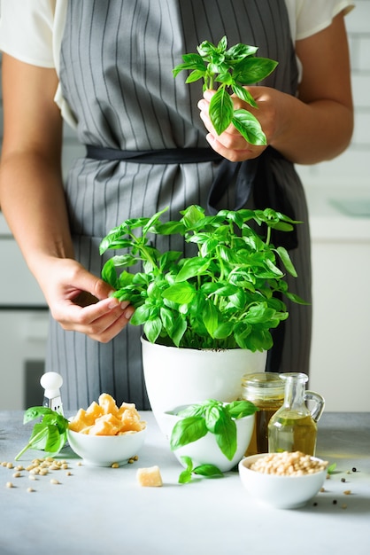 Tablier de femme au style tenant un pot de basilic biologique frais