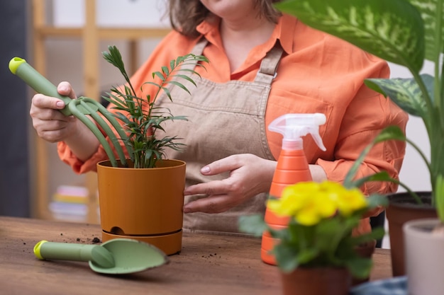 Photo tablier femme maison jardinier soins des plantes d'intérieur à l'aide de râteau et d'outils de jardinage plantation pot hamedorea