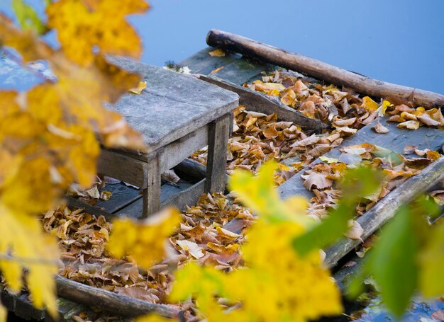 Tabouret en bois feuilles tombées angle vieux peuplements