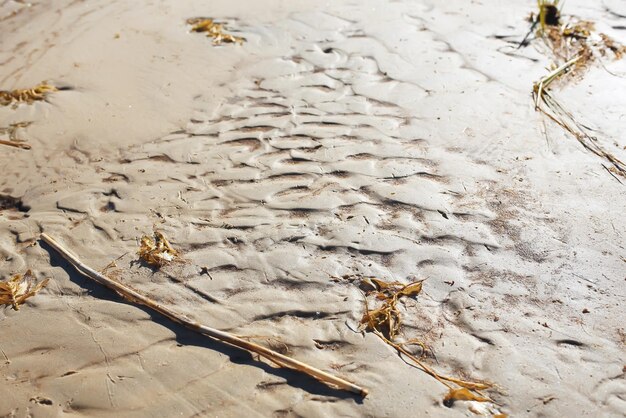 Photo taches sur le sable de l'eau