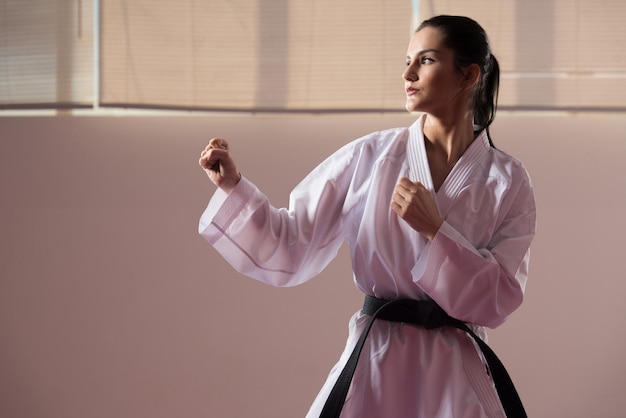 Taekwondo Fighter Expert avec position de combat