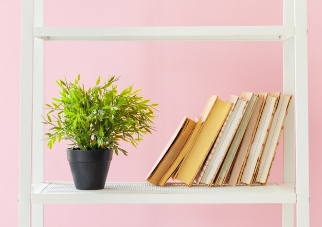 Étagère blanche avec des livres et des plantes contre le mur rose