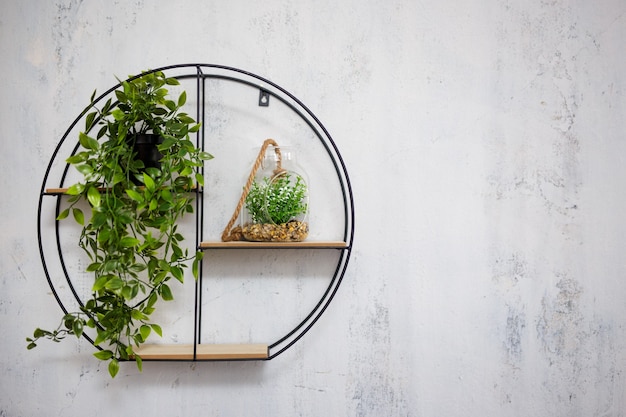 Étagère avec des plantes d'intérieur sur fond de mur de béton gris avec espace de copie