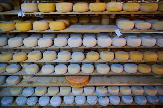 Étagères de production de fromagerie avec vieillissement de vieux fromages locaux bio vides