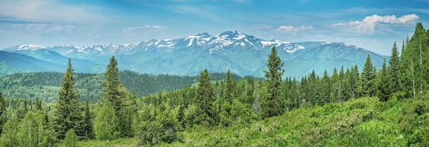 Taïga de montagne et pics dans la neige vue panoramique sur la verdure estivale