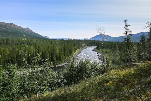 Taïga de montagne sur le plateau de Putorana