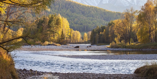 La taïga en Sibérie Vue panoramique sur la nature automnale