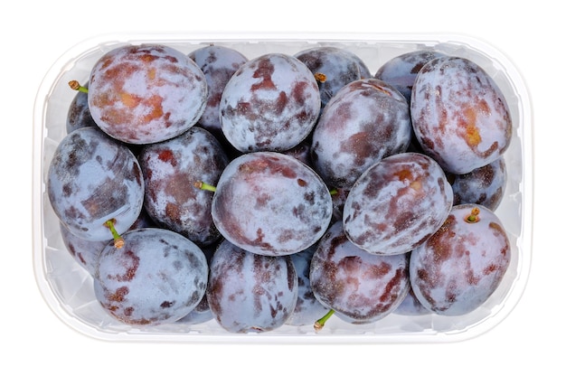 Tailler les prunes dans un récipient en plastique transparent