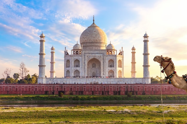 Taj Mahal, lieu exotique de l'Inde, Agra.