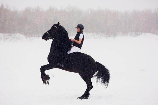 Étalon frison s'exécutant dans le champ d'hiver.