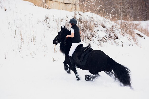 Étalon frison s'exécutant dans le champ d'hiver.