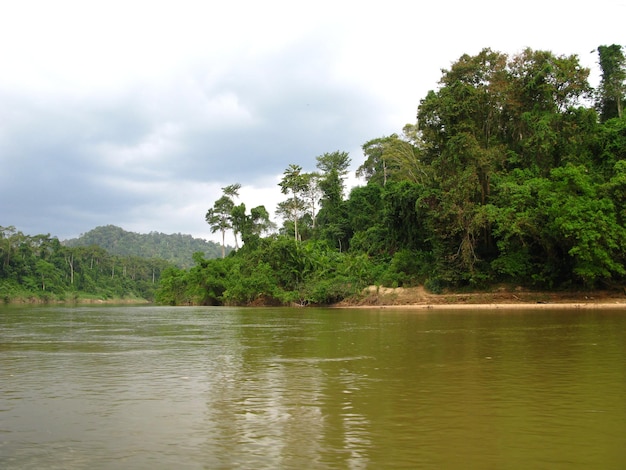 Taman Negara est le parc national Malaisie