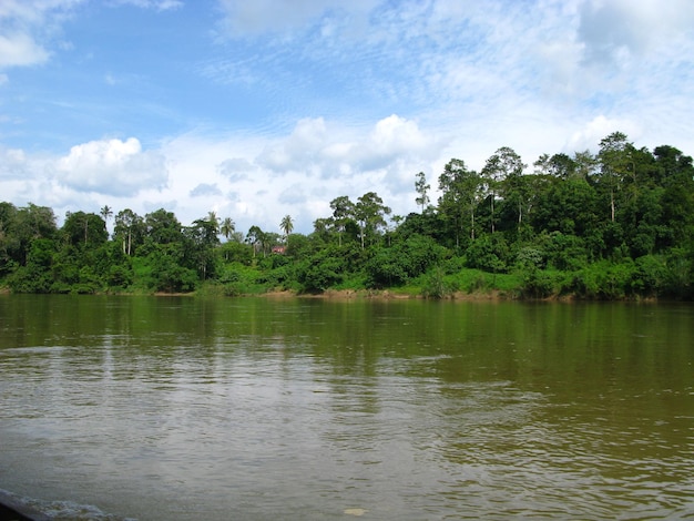 Taman Negara est le parc national Malaisie