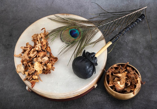 Tambourin et champignon en studio