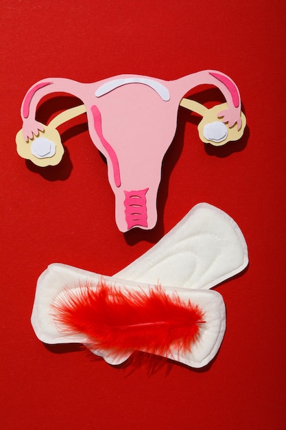 Tampon menstruel avec plumes rouges sur fond rouge