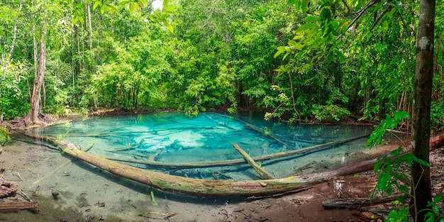 Étang bleu saphir incroyable à Krabi, en Thaïlande