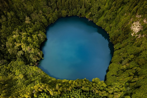 Étang bleu vif dans les bois