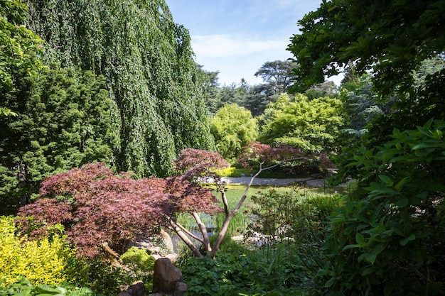 Étang dans un jardin japonais