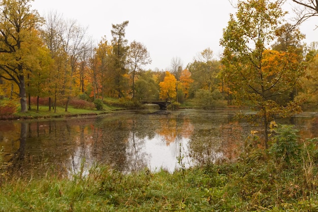 Étang dans le parc Alexander à Pouchkine en automne