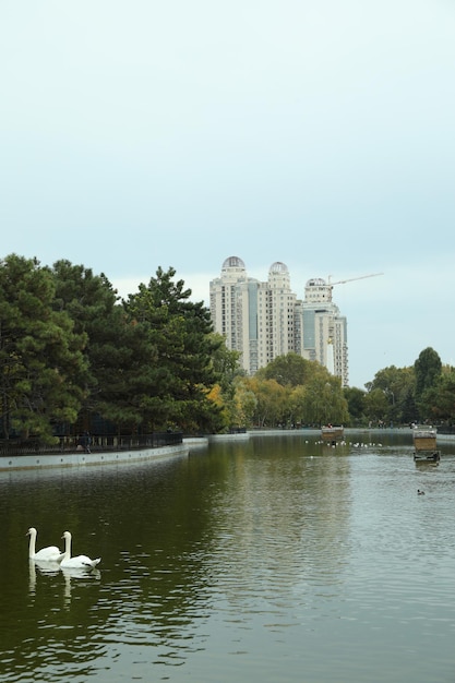 Étang dans un parc de la ville un jour d'automne