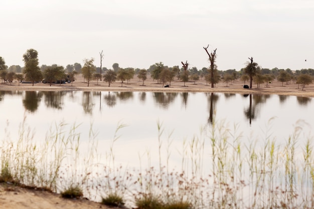 Étang du désert dans un parc à Dubaï