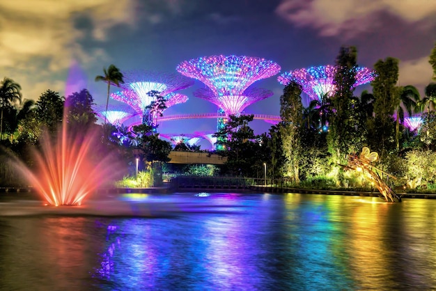 Étang avec fontaine et bosquet Supertree dans les jardins de la baie dans le centre de Singapour. C'est un spectacle de musique et de lumière lorsque les arbres sont illuminés de différentes couleurs