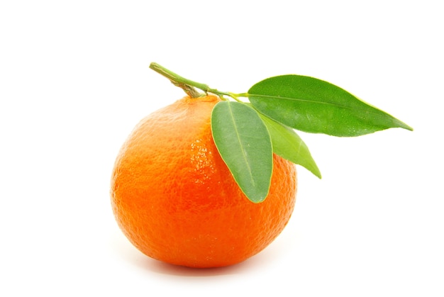 Tangerine isolée