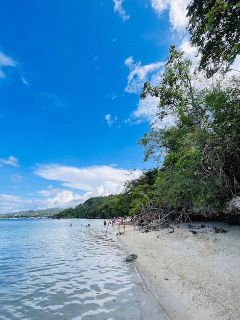 Tanjung Karang