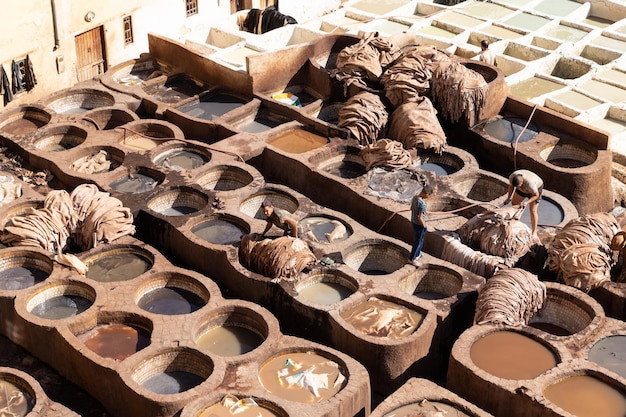 Tannerie Chouara à Fès Maroc