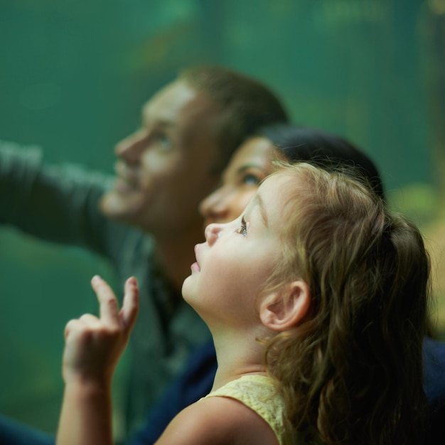 Tant de choses à voir, photo d'une famille de trois personnes lors d'une sortie à l'aquarium